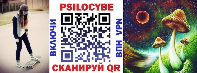 закладки  Переславль-Залесский  Псилоцибиновые грибы Psilocybe 